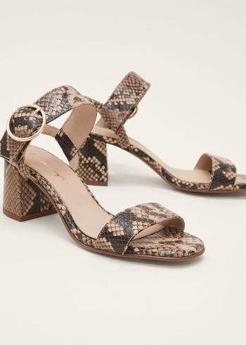 Phase Eight Snake Skin Leather Buckle Heels Snake USA | 2653790-FP